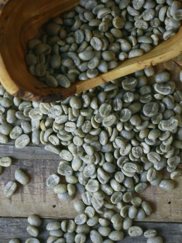 Single Origin | Green Beans | 2500g - 5.5 Lbs