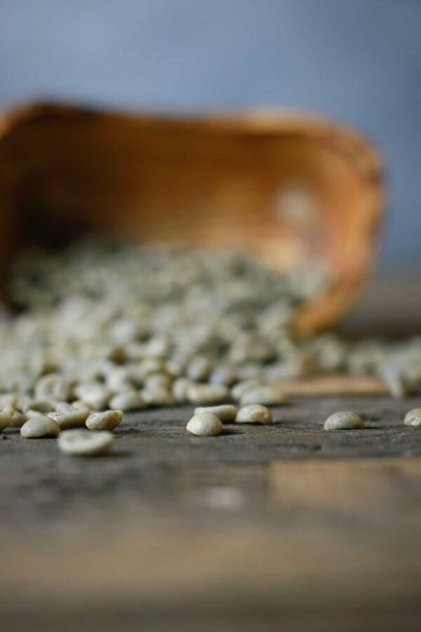 Single Origin | Green Beans | 2500g - 5.5 Lbs